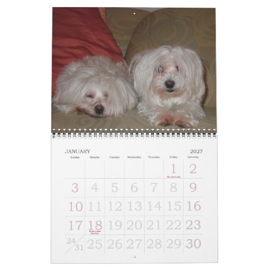 Jackie & Sassy's Wilde & Krazy Adventures Kalender (Jan 2027)