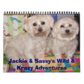 Jackie & Sassy's Wilde & Krazy Adventures Kalender (Hoes)