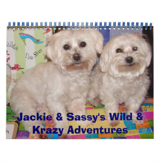 Jackie & Sassy's Wilde & Krazy Adventures Kalender