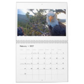 Jackie & Shadow - Grote Beer Adelaarskalender Kalender (Feb 2027)