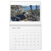 Jackie & Shadow - Grote Beer Adelaarskalender Kalender (Jan 2027)