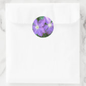 Jackmanii Clematis Ronde Sticker (Tas)