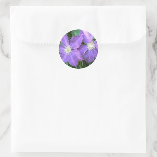Jackmanii Clematis Ronde Sticker (Tas)