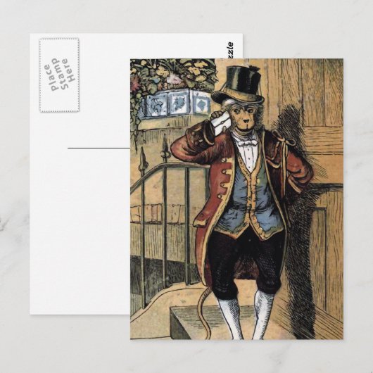 Jacko the Monkey Illustration Briefkaart (Voorkant / Achterkant)