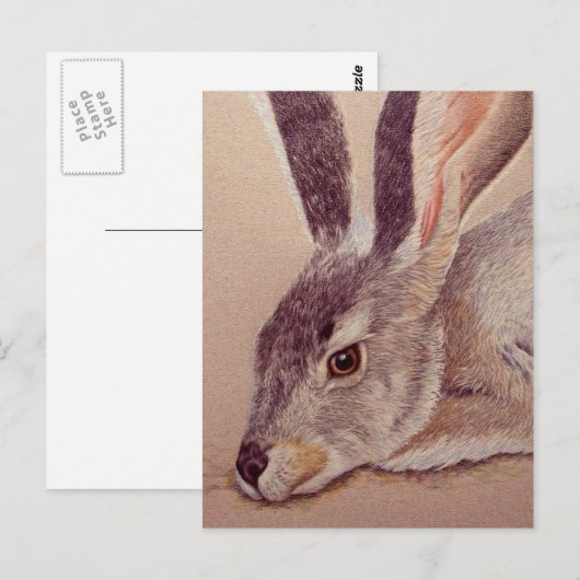Jackrabbit Briefkaart (Voorkant / Achterkant)
