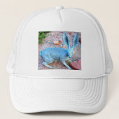 jackrabbit hat trucker pet (Voorkant)