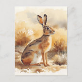 Jackrabbit in Desert Brush in het zuidwesten Briefkaart (Voorkant)
