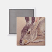 Jackrabbit Magneet (Voorkant / Achterkant)