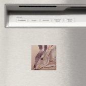 Jackrabbit Magneet (Insitu (Vaatwasser))