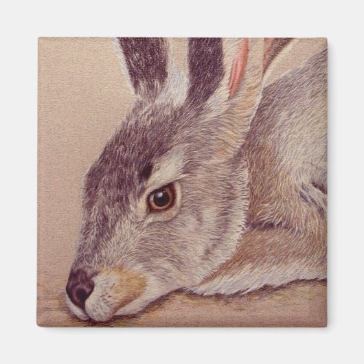 Jackrabbit Magneet (Voorkant)
