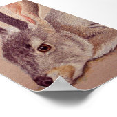 Jackrabbit Poster (Hoek)