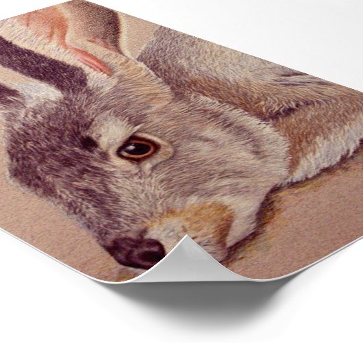 Jackrabbit Poster (Hoek)