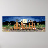 Jackrabbit Rabbit Family Desert Moon Night Poster (Voorkant)