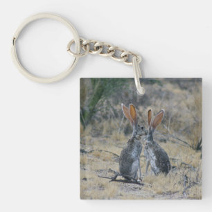 Jackrabbits Acryl Sleutelhanger