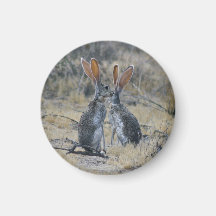 Jackrabbits Maan