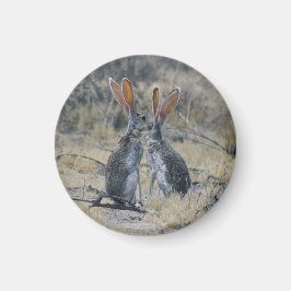 Jackrabbits Maan Magneet