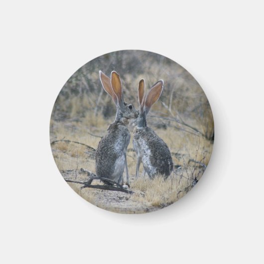 Jackrabbits Maan Magneet (Voorkant)