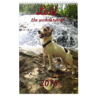 Jackrussell-kalender Kalender