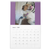 Jackrussell-kalender Kalender (Mar 2027)