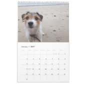 Jackrussell-kalender Kalender (Jan 2027)