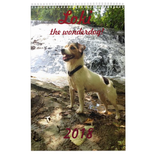 Jackrussell-kalender Kalender (Hoes)