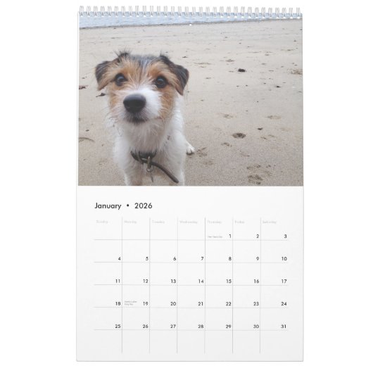 Jackrussell-kalender Kalender (Jan 2026)