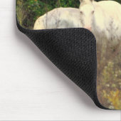 Jack's Fork Wild Horses Muismat (Hoek)