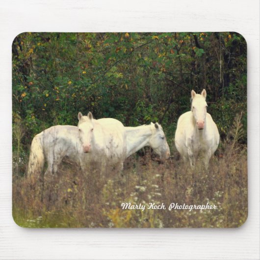 Jack's Fork Wild Horses Muismat (Voorkant)