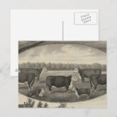 Jackson Boerderij, Kansas Briefkaart (Voorkant / Achterkant)