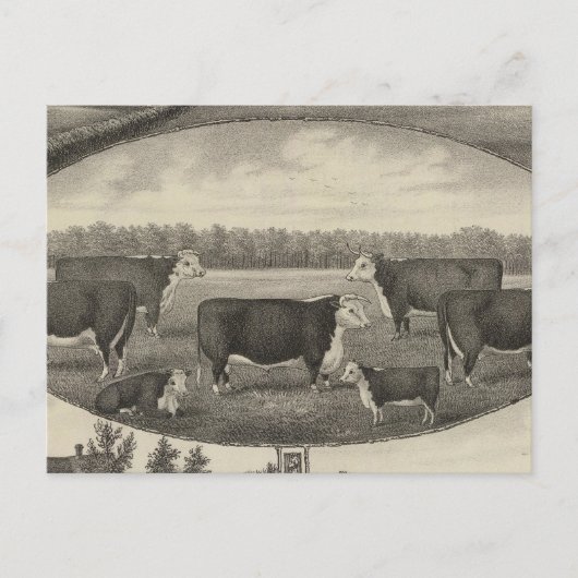 Jackson Boerderij, Kansas Briefkaart (Voorkant)