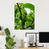 Jackson Chameleon Poster (Thuiskantoor)