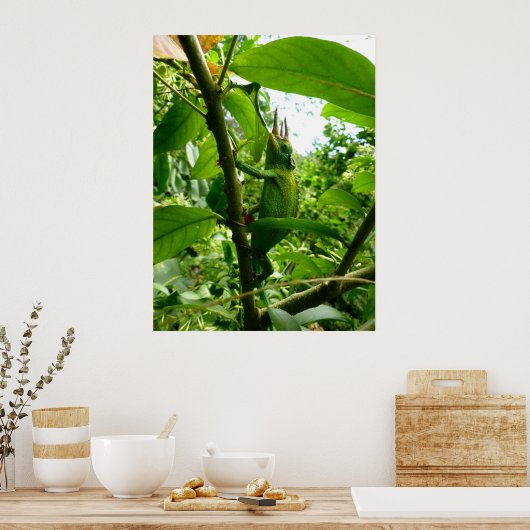 Jackson Chameleon Poster (Keuken)