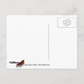 Jackson Glacier Overkijk op Glacier National Park Briefkaart (Achterkant)