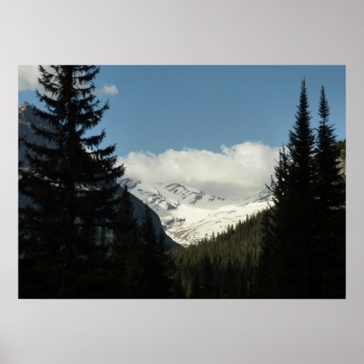 Jackson Glacier-uitzichtpunt in Glacier National P Poster (Voorkant)