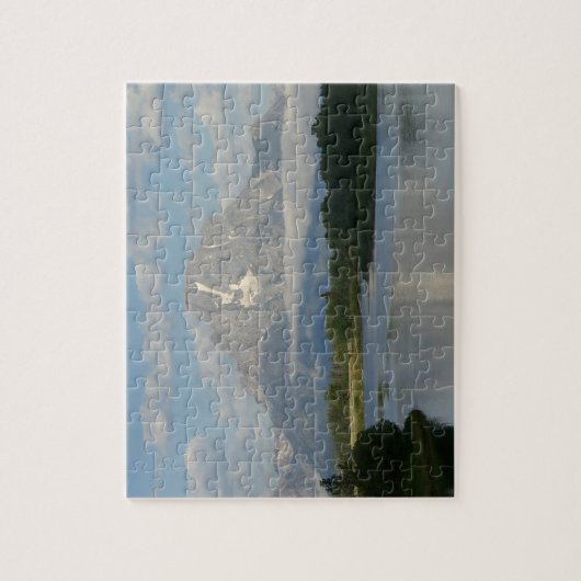 Jackson Hole, rivier in Grand Teton National Park Legpuzzel (Verticaal)