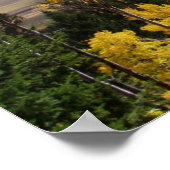 Jackson Hole Series Poster (Hoek)