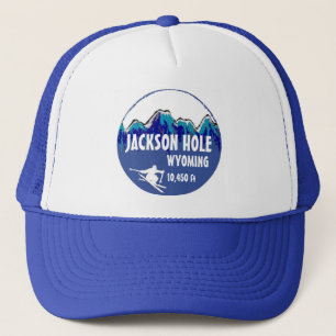 Jackson Hole Wyoming blue ski art pet