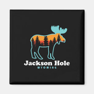 Jackson Hole Wyoming Eland Mountains Grand Tetons Magneet