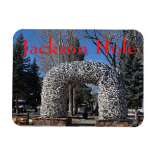 Jackson Hole Wyoming Geweiarches Magneet