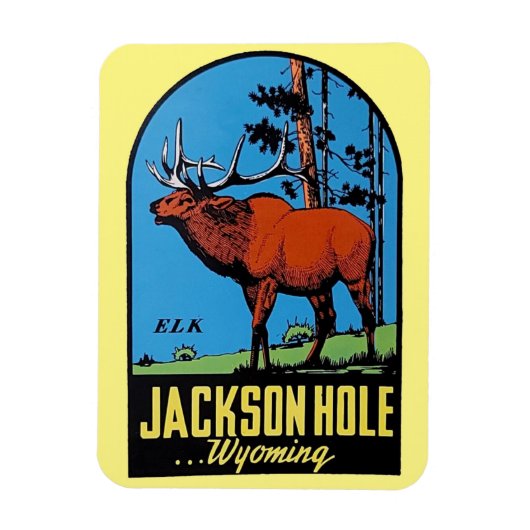 Jackson Hole, Wyoming Magnet Magneet (Verticaal)