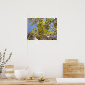 Jackson Hole Wyoming serie Poster (Keuken)