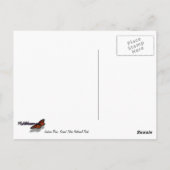 Jackson Lake Dam Reflection in Grand Teton Park Briefkaart (Achterkant)