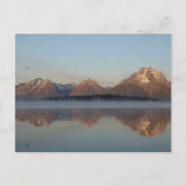 Jackson Lake Dam Reflection in Grand Teton Park Briefkaart (Voorkant)