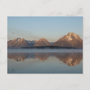 Jackson Lake Dam-weerkaatsing in Grand Teton Park Briefkaart