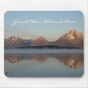 Jackson Lake Dam-weerkaatsing in Grand Teton Park Muismat