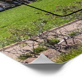 Jackson Square New Orleans Poster (Hoek)