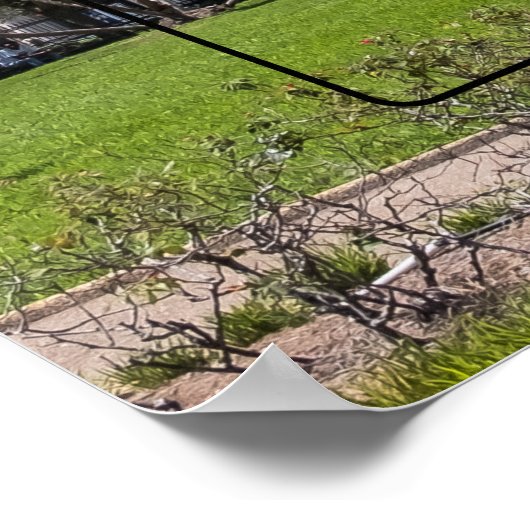 Jackson Square New Orleans Poster (Hoek)