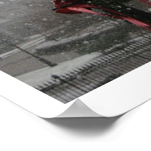 Jackson Square, St. Louis Cathedral in de sneeuw Poster (Hoek)