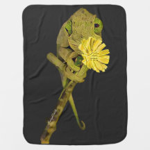 Jackson's Chameleon Baby Blanket