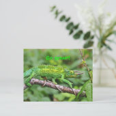 Jacksons Chameleon Briefkaart (Staand voorkant)